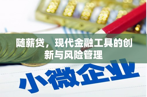 芜湖随薪贷，现代金融工具的创新与风险管理