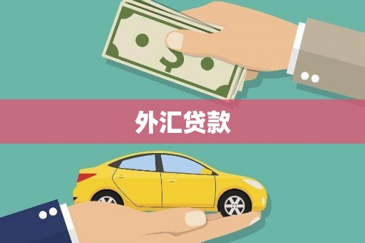 芜湖外汇贷款