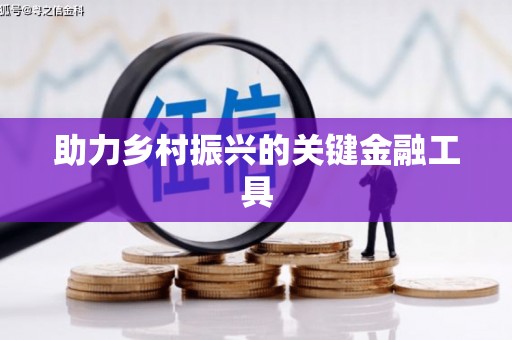 芜湖助力乡村振兴的关键金融工具