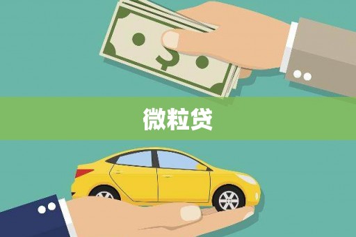 芜湖微粒贷