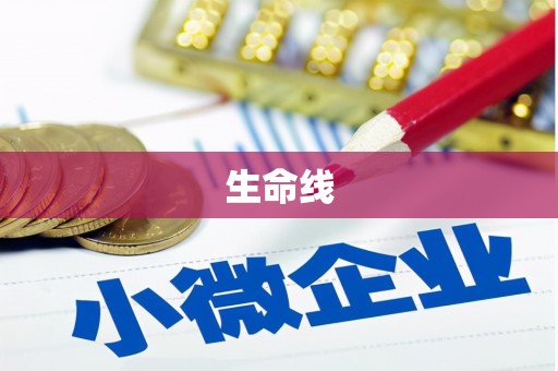 芜湖生命线