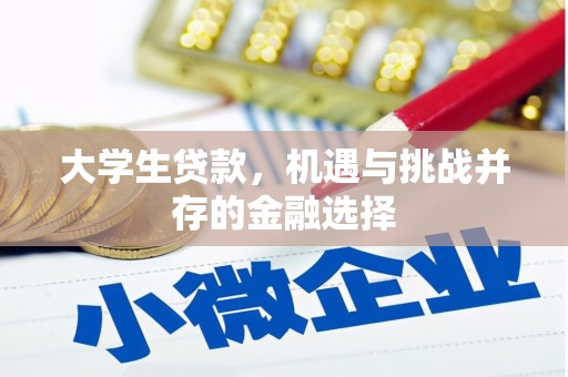 芜湖大学生贷款，机遇与挑战并存的金融选择