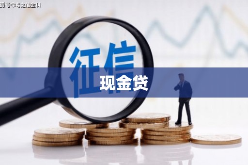 芜湖现金贷
