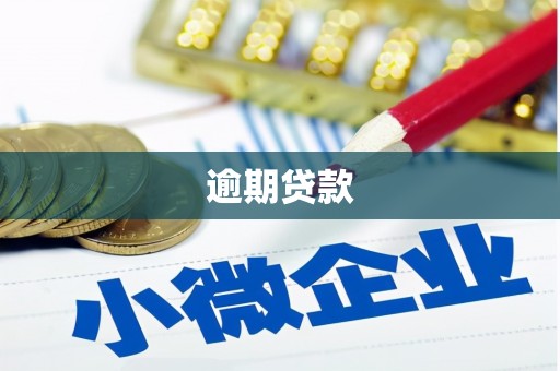 芜湖逾期贷款
